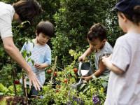   Otevřený dopis SMO ministru životního prostředí 
